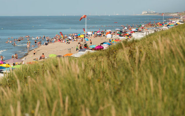 Residentie Albatros - Photo 1