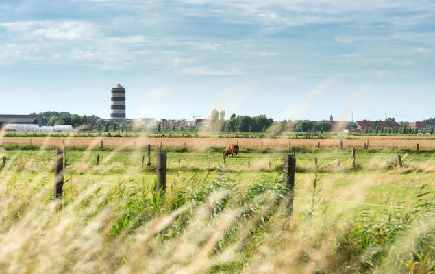 Residentie Albatros - Photo 3