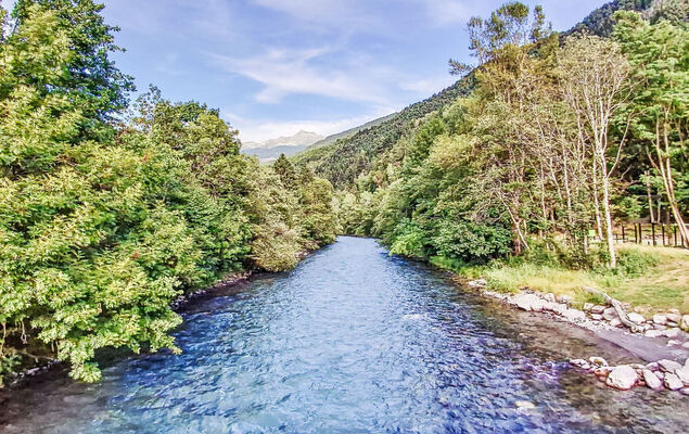 Bellentre Chalet le Pommier 5 - Photo 41