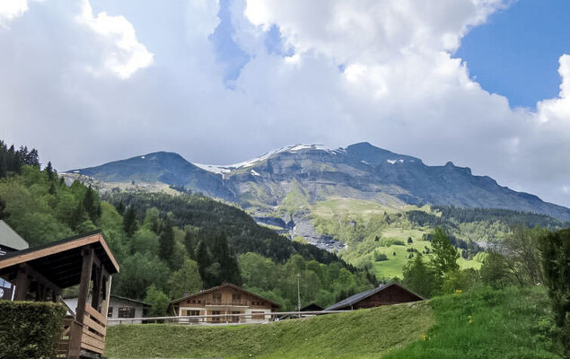 Le Brûlaz - Photo 13