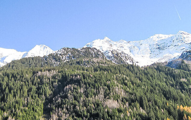 Le Brûlaz - Photo 15