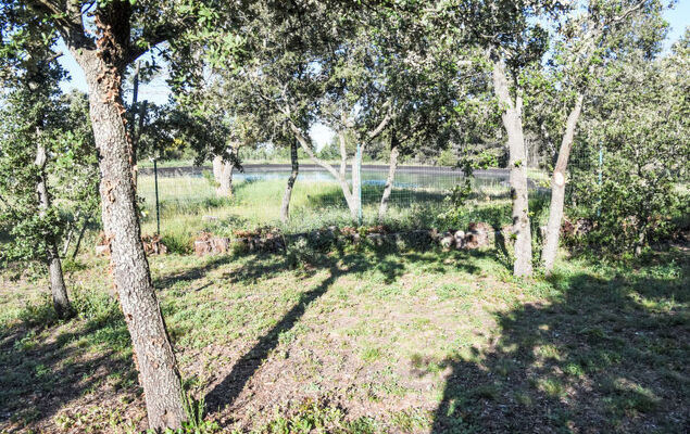 La Chênaie - Photo 49