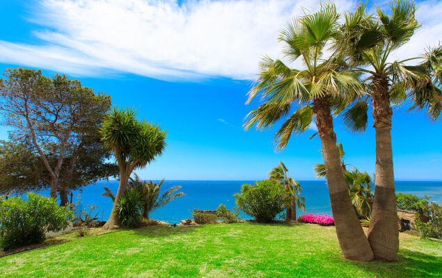 Atardecer - Photo 27