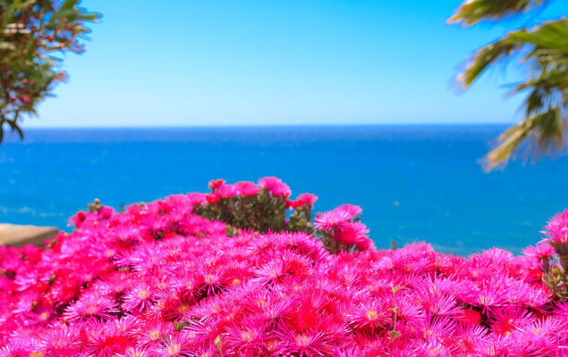 Atardecer - Photo 40