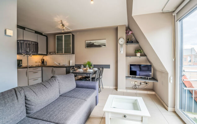 Ter Duinen - Photo 7