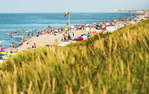 Vosseslag I sunny - Photo 9